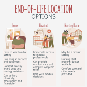 options for end-of-life care infographic